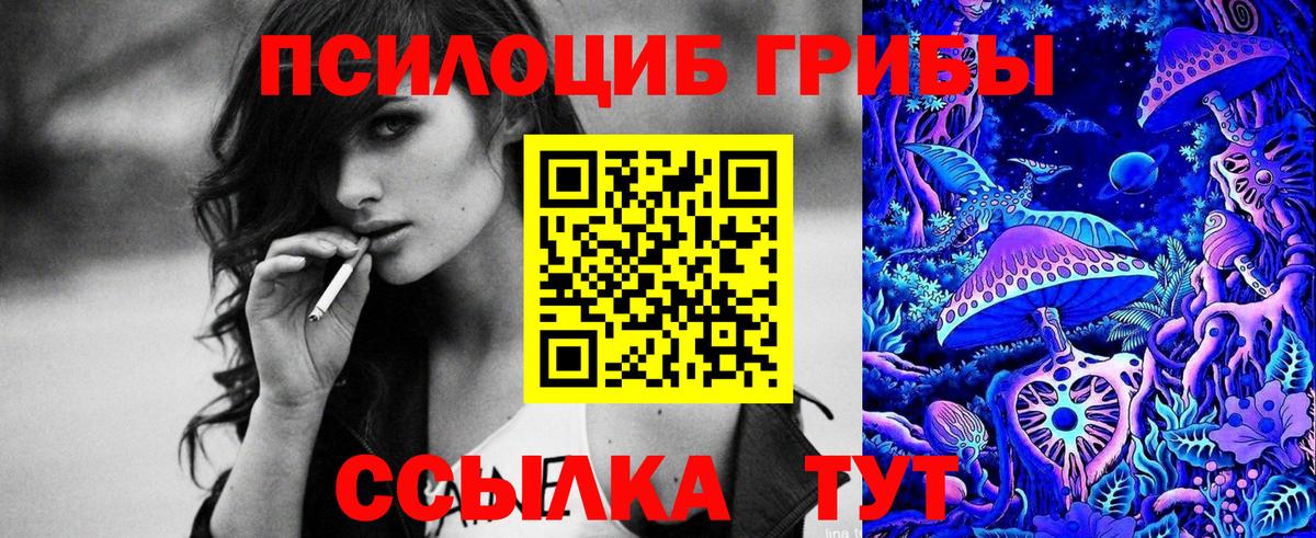 Псилоцибиновые грибы Cubensis  Вход с VPN  Псилоцибиновые грибы GOLDEN TEACHER  Кубинка 